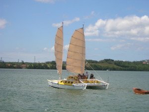 A Wharram designed catamaran with soft wing sails (with junk rig properties) designed by Bertrand Fercot